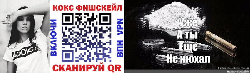 Купить закладки  Елизово  Cocaine Эквадор 