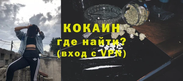 сатива Инсар