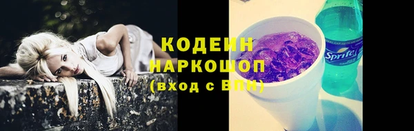 сатива Инсар