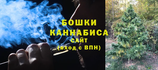 сатива Инсар