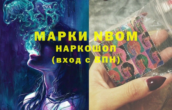 сатива Инсар
