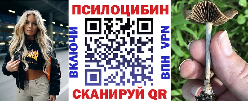 Галлюциногенные грибы прущие грибы  Купить где  Елизово 